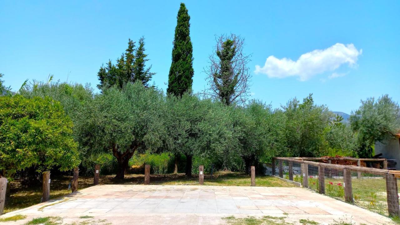 Platanos Villa Vasilikí Exteriör bild
